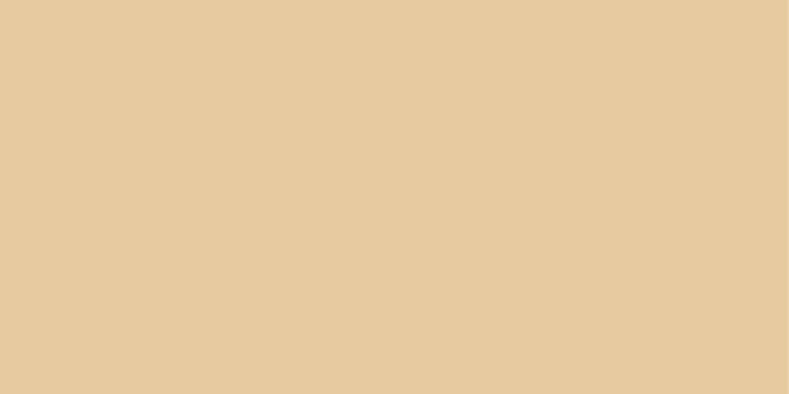 Farbmuster Beige